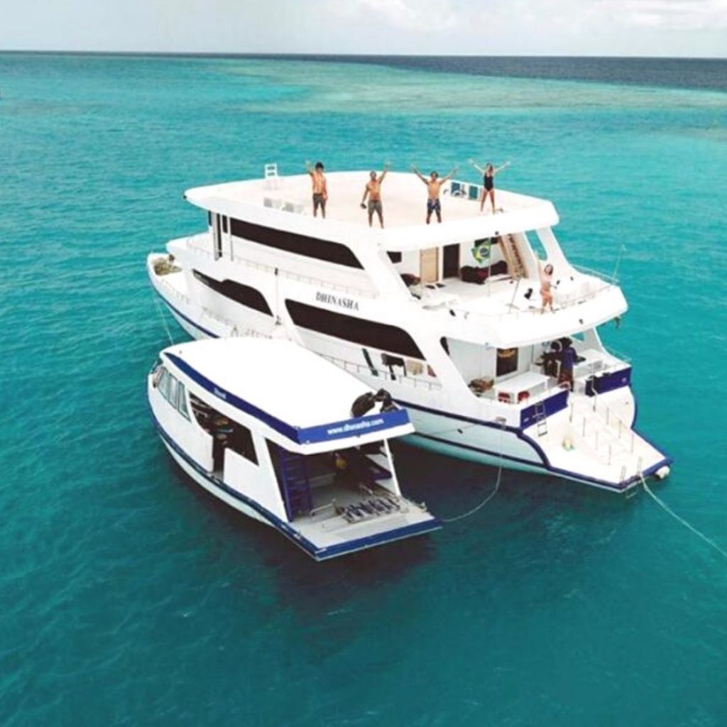 Maldives yoga retreat liveaboard safari boat dhinasha aerial sunroof cynthia travels