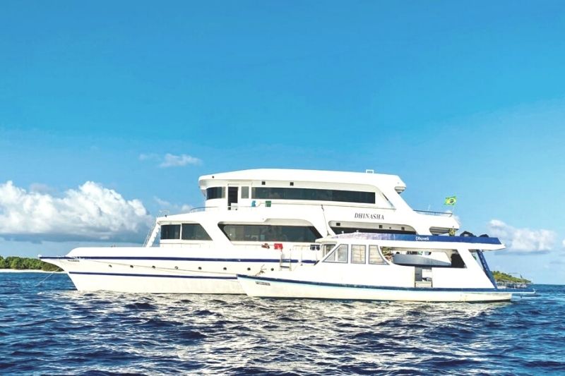 Maldives side retreat liveaboard safari boat dhinasha wide cynthia travels