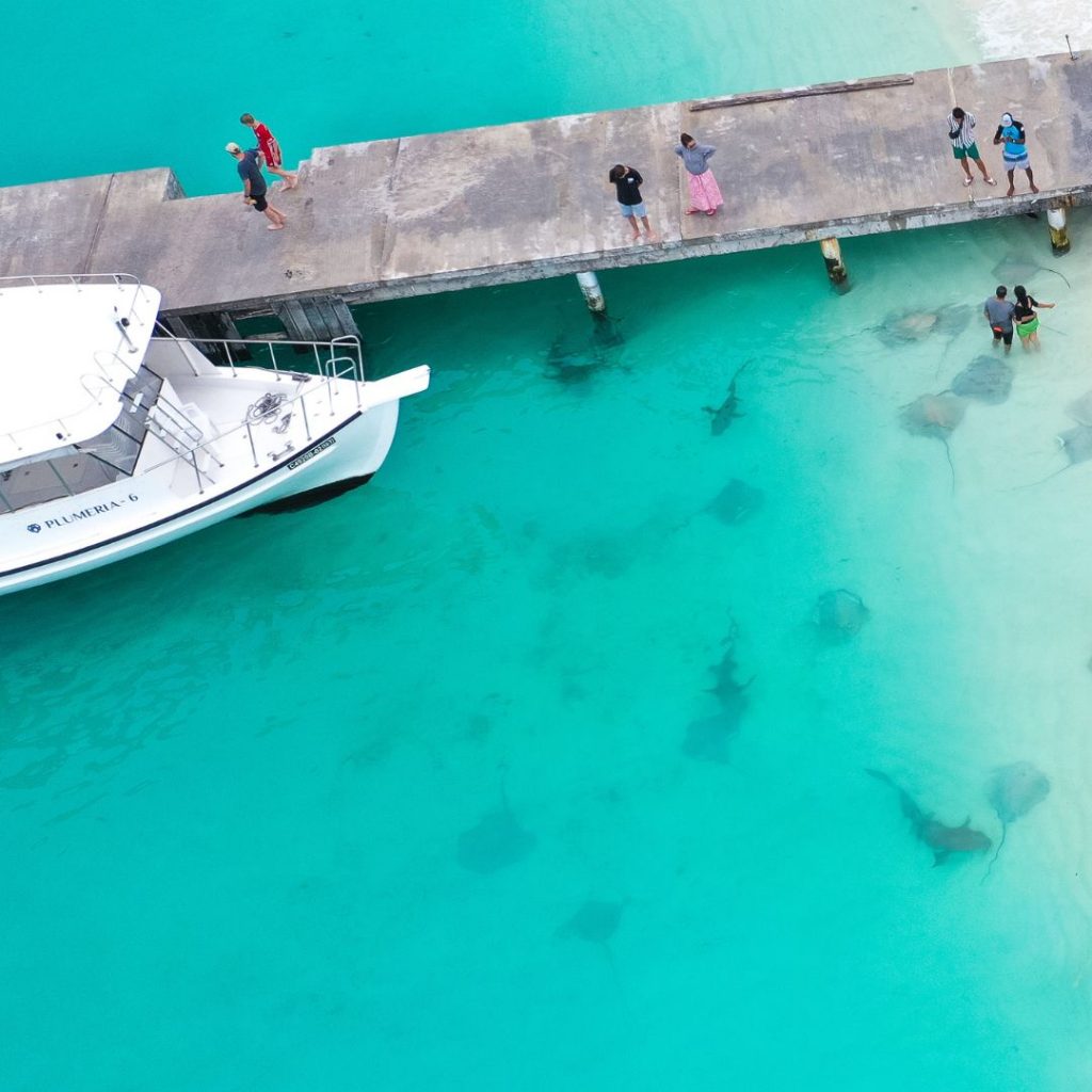 Maldives yoga retreat liveaboard cover cynthia travels vaavu fulidhoo sting ray sharks